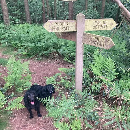 Bank Barn King Bedroom Self Catering 2 Guests *